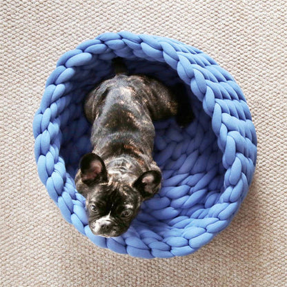 chien bulldog dans panier bleu